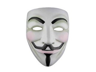 Manycam Live Video Software Virtual Webcam - roblox anonymous mask catalog