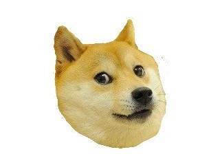 ManyCam Effect: Doge